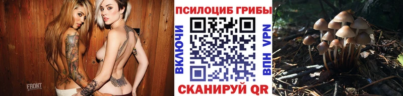 Псилоцибиновые грибы мицелий  хочу   Карталы 